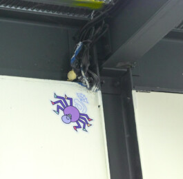 scenographie vinyle Le Print Club